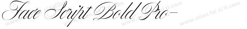 Face Script Bold Pro字体转换